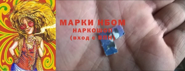 прущие грибы Богданович