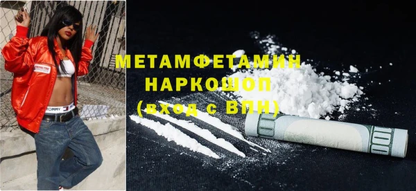 прущие грибы Богданович