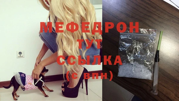 прущие грибы Богданович