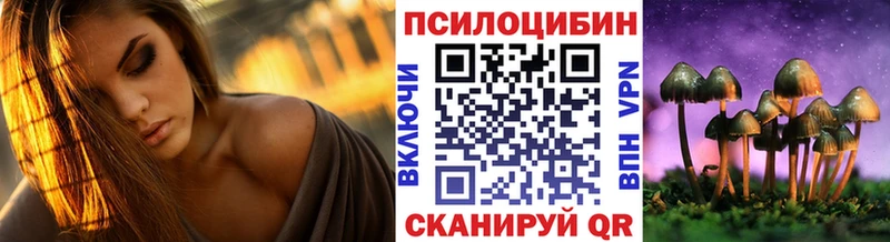 MEGA Плёс Псилоцибиновые грибы GOLDEN TEACHER
